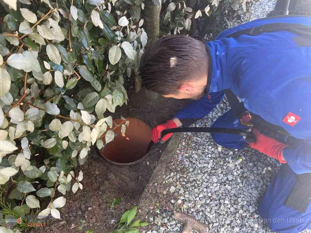 Rioolvliegjes Capelleaandenijssel Rioolvliegjes Capelleaandenijssel